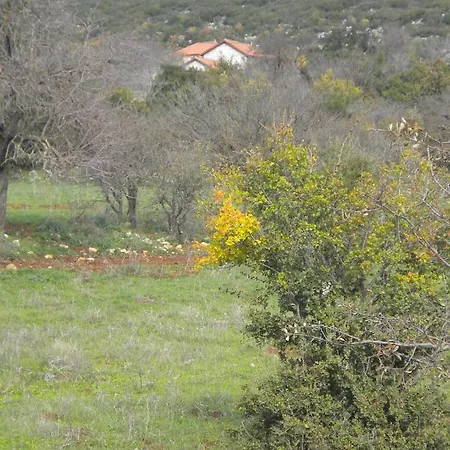 Amygdalia, A Stone House In A Quiet Landscape *