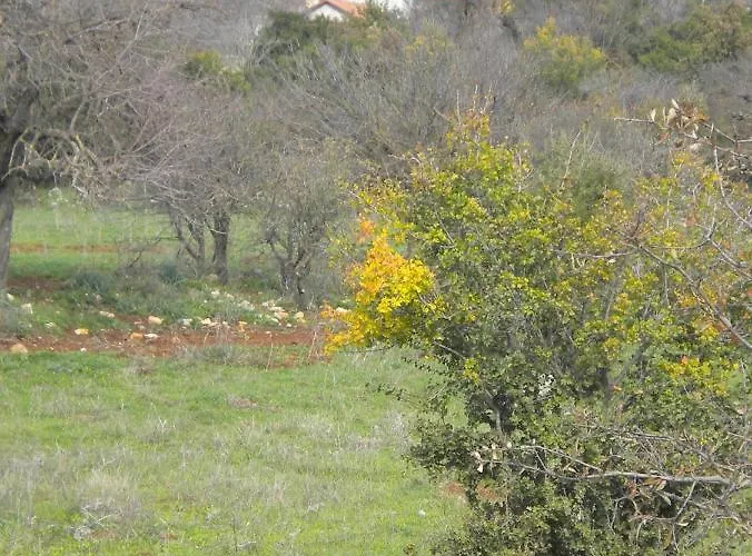 Amygdalia, A Stone House In A Quiet Landscape *