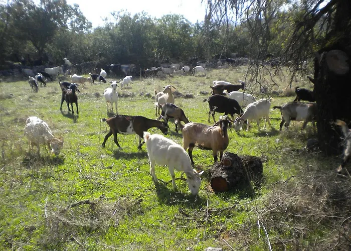 Ferienhaus Amygdalia, A Stone House In A Quiet Landscape Leonídion